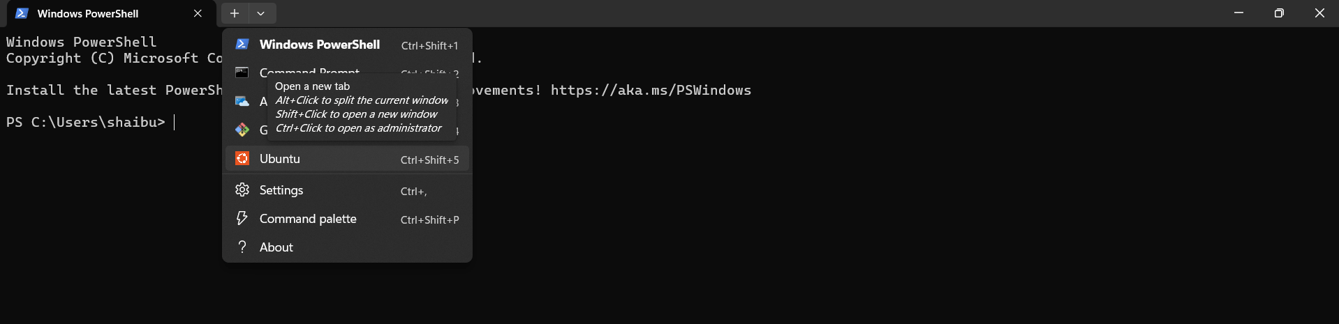 WSL terminal