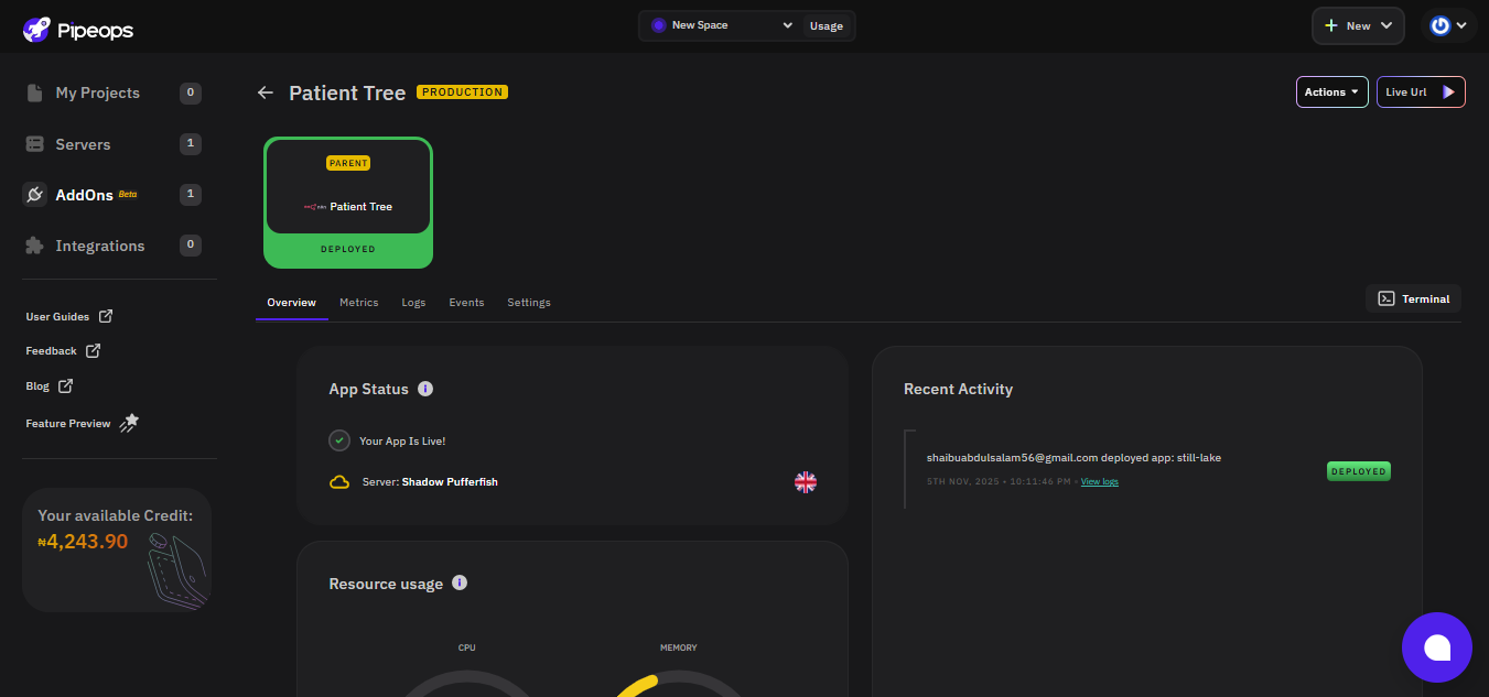 deployed n8n overview page